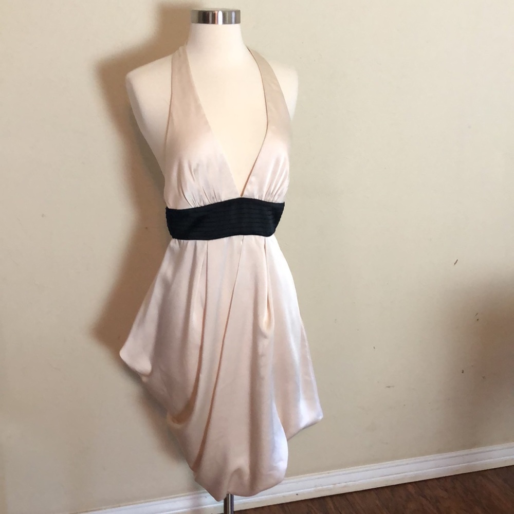 Bcbgmaxazria dress